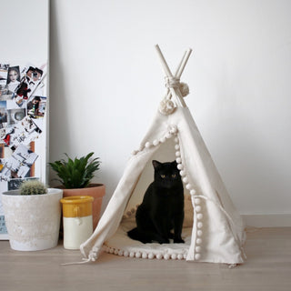 MINICAMP eco-friendly pet teepee and dog igloo bed.