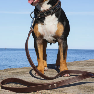 Genuine Leather Dog Lead in Classic Style – Dark Brown – Handcrafted Heavy Duty Leash