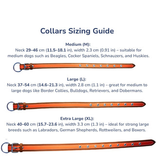 Genuine Leather Dog Collar in Orange and Brown