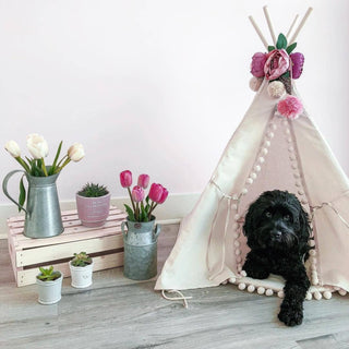 MINICAMP Dog Teepee & Large Cat Tent 