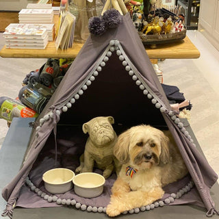 MINICAMP large dog teepee bed in grey 