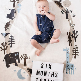 Baby Milestone Blanket from 100% Linen